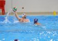 WATER PANDA ABILITY PIACENZA – Arriva la seconda vittoria per la squadra "WaterPolo Abilty" Continua […]