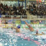 A1 M – La BPM Sport Management liquida il Como Nuoto