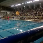 U 17 M – Carpisa Yamamay Acquachiara-Rari Nantes Salerno 12-4