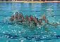 Pallanuoto Femminile: grandi prestazioni per la Sport Management Verona, 27.05.15 – Due prove da incorniciare […]