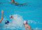 SERIE C NAZIONALE, GIRONE LAZIO ANTARES QUINTO SUCCESSO CONSECUTIVO Villa York – Antares Nuoto Latina […]