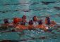 Pol Delta – Latina Nuoto 6 – 9 (1-3; 1-1; 1-3; 3-2) Delta: Tpv. Alessandro […]