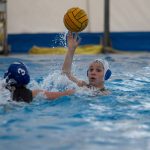 B F – Vela Nuoto Ancona  – Sea  Sub Modena 6-6