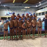 WP Novara News