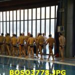 B M – Firenze PN-Acquasport Firenze 7-7