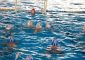 UNDER 13 E UNDER 11 ANTARES NUOTO LATINA OTTIME PROVE PER LE UNDER 11 E […]