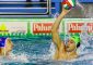 Domani alle 18.00 big match pre natalizio per la Pallanuoto Banco BPM Sport Management che […]