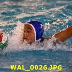 U20 M – Nuoto Livorno – Florentia Sport Team 15-7