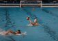 La Waterpolo Verona cade in casa contro la Mestrina Venezia. Stop anche per le ragazze […]