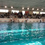 A2 M – Como Nuoto bestia nera del Civitavecchia