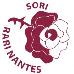 RN Sori: opinione campionati