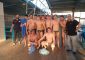 Nell’equilibratissimo campionato di Serie C maschile di pallanuoto, l’F&D Waterpolis di mister Criserà ottiene la […]