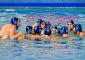 Dopo il ko in Gara 1, la Brescia Waterpolo si prepara a vivere il secondo […]