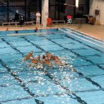 A1 M – Waterpolo Milano Metanopoli sconfitta dai campioni d’Italia