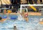 Successo straordinario per il 1° Fiorillo Academy Waterpolo Tournament! Domenica 19 dicembre, dalle 9:00 alle […]