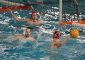 Serie B girone 1 Piacenza Pallanuoto 2018 – Sporting Lodi 10-10 (3-2, 3-2, 1-2, 3-4) […]