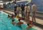 Inizia nel migliore dei modi il campionato del Pescara Pallanuoto, che nel turno inaugurale passa […]