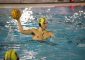 U18, Frosinone Pallanuoto – Villa Aurelia 6-19 (1-4, 2-3, 1-6, 2-6) Sonora sconfitta per l’U18 […]