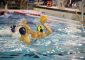 Serie C, Castelli Romani – Frosinone Pallanuoto 3-8 (1-1, 0-1, 1-1, 1-5) Buona la prima […]