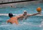 Sabato 2 marzo, ore 16:30, nella 14ª giornata di serie A2 la Lazio Nuoto torna [&hellip;]