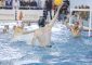 Si è svolta presso la Piscina Comunale Simone Vitale la settima ed ultima giornata del [&hellip;]