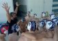 CAMPIONATO SERIE C NAZIONALE– GIR. LAZIO L’ANTARES CORONA IL SOGNO PLAYOFF CON UNA GIORNATA D’ANTICIPO [&hellip;]