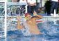 Dopo un’annata straordinaria chiusa con la permanenza in A2 la Waterpolo Palermo inizia bene la [&hellip;]