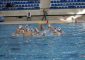 Il percorso di crescita della squadra più giovane del torneo non può che passare dal [&hellip;]