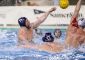 TRIESTE_Nell’ultimo turno di andata della regular season maschile la Florentia alza bandiera bianca e si [&hellip;]