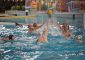 Serie A2 girone Nord TRS Piacenza Pallanuoto 2018 – Futurenergy Sori 9-12 (4-1, 1-3, 2-2, [&hellip;]