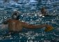 I biancocelesti perdono 12-11 contro il Torino nella gara 2 della semifinale playoff. La Lazio [&hellip;]
