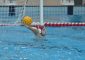 Finisce 18-15 per Trieste la prima in campionato della De Akker alla piscina Bianchi ma [&hellip;]